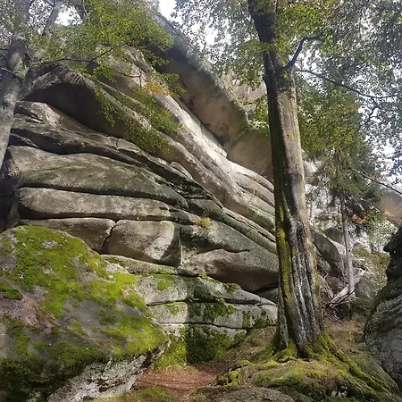 Moni Weißenstadt