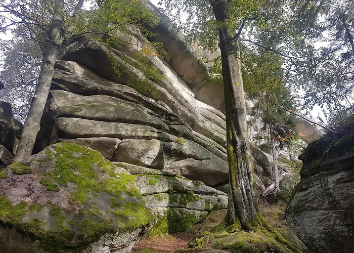 Moni Weißenstadt